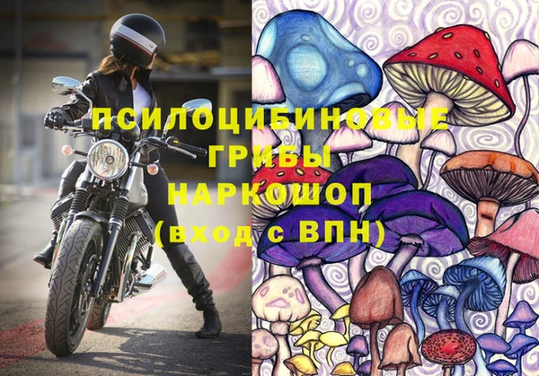 метамфетамин Богданович
