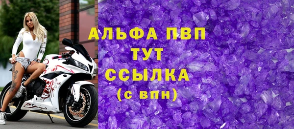 прущие грибы Белокуриха
